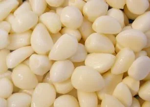 Top Quality Peeled Garlic in Brine for Exporting