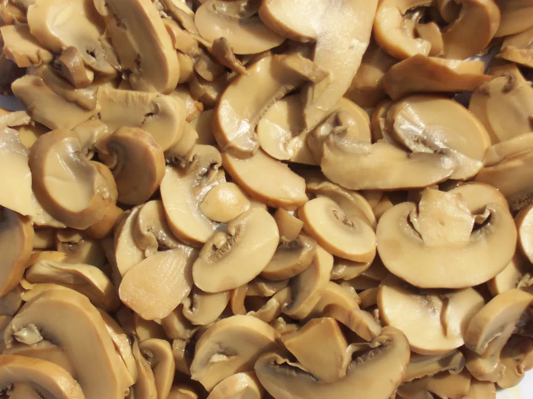 Healthy Canned Food Canned Mushroom Champignons Slice Pns in Brine