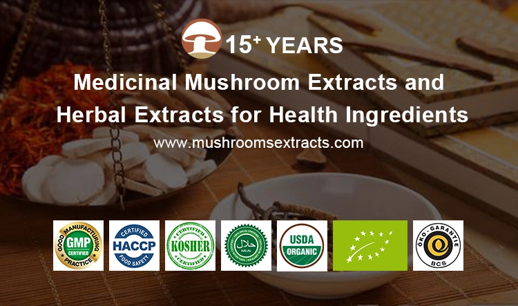 Organic Mushroom Extract Turkey Tail Mushroom Powder Cordyceps Sinensis Powder Reishi Mushroom Lion′s Mane Mushroom Complex