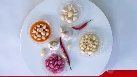 Esportatore di spicchi d'aglio in salamoia