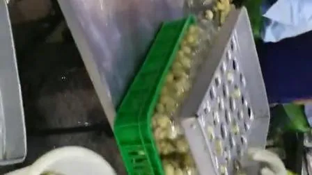 Funghi in scatola, Frutta in scatola, Verdura in scatola, Funghi in So2, Funghi in Salamoia, Funghi in Aceto