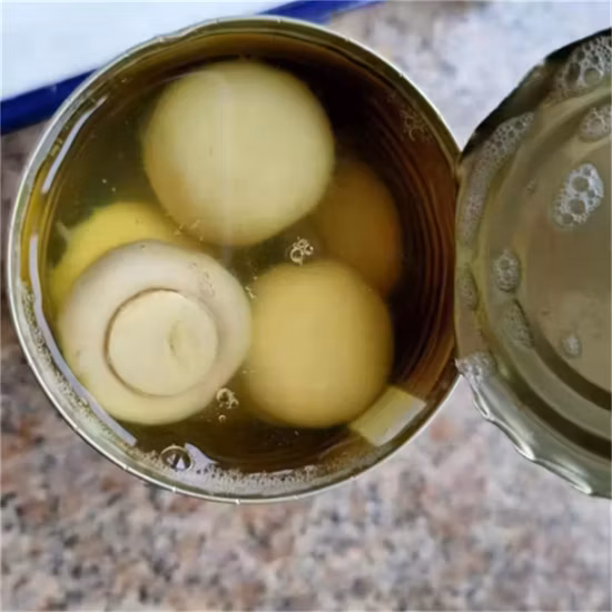 Funghi in scatola salati di migliore qualità interi 800 g con OEM