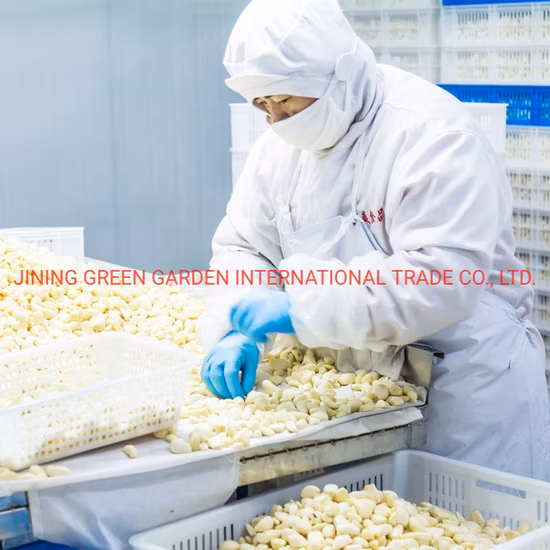 Aglio sbucciato in salamoia di buona qualità